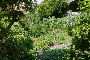 Cable Street Community Gardens_5